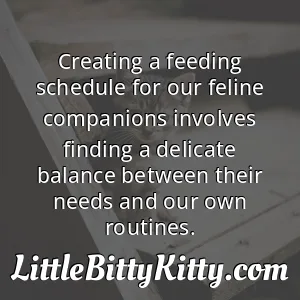 Creating a feeding schedule for our feline companions involves finding a delicate balance between their needs and our own routines.