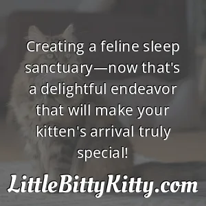 Creating a feline sleep sanctuary—now that's a delightful endeavor that will make your kitten's arrival truly special!