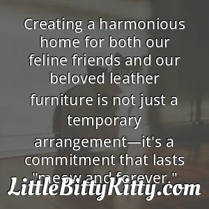 Creating a harmonious home for both our feline friends and our beloved leather furniture is not just a temporary arrangement—it's a commitment that lasts "meow and forever."