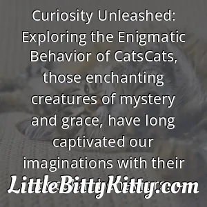 Curiosity Unleashed: Exploring the Enigmatic Behavior of CatsCats, those enchanting creatures of mystery and grace, have long captivated our imaginations with their peculiar behaviors.