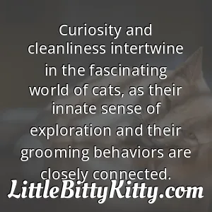 Curiosity and cleanliness intertwine in the fascinating world of cats, as their innate sense of exploration and their grooming behaviors are closely connected.