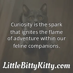 Curiosity is the spark that ignites the flame of adventure within our feline companions.
