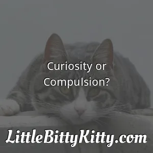 Curiosity or Compulsion?