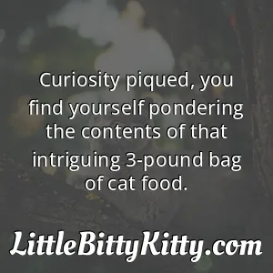 Curiosity piqued, you find yourself pondering the contents of that intriguing 3-pound bag of cat food.