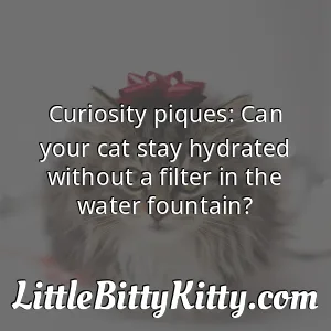 Curiosity piques: Can your cat stay hydrated without a filter in the water fountain?