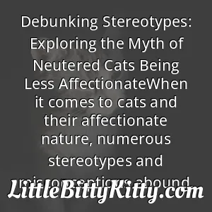Debunking Stereotypes: Exploring the Myth of Neutered Cats Being Less AffectionateWhen it comes to cats and their affectionate nature, numerous stereotypes and misconceptions abound.
