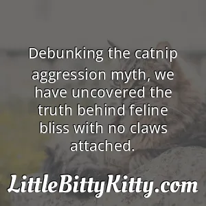 Debunking the catnip aggression myth, we have uncovered the truth behind feline bliss with no claws attached.