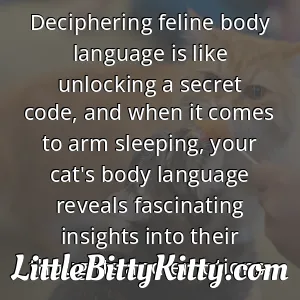 Deciphering feline body language is like unlocking a secret code, and when it comes to arm sleeping, your cat's body language reveals fascinating insights into their thoughts and emotions.