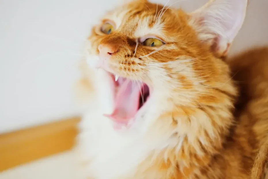 Decoding Cat Behavior: Why Do Cats Grab, Bite, and Kick?