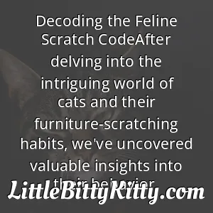 Decoding the Feline Scratch CodeAfter delving into the intriguing world of cats and their furniture-scratching habits, we've uncovered valuable insights into their behavior.