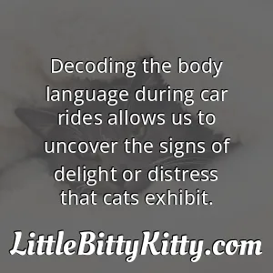 Decoding the body language during car rides allows us to uncover the signs of delight or distress that cats exhibit.