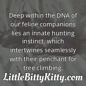 Deep within the DNA of our feline companions lies an innate hunting instinct, which intertwines seamlessly with their penchant for tree climbing.