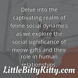 Delve into the captivating realm of feline social dynamics as we explore the social significance of meow-gifts and their role in human relationships.