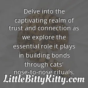 Delve into the captivating realm of trust and connection as we explore the essential role it plays in building bonds through cats' nose-to-nose rituals.