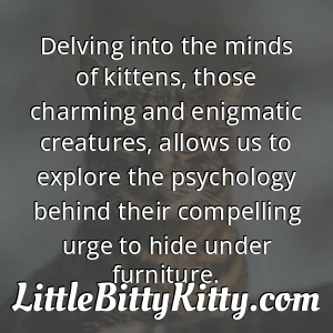 Delving into the minds of kittens, those charming and enigmatic creatures, allows us to explore the psychology behind their compelling urge to hide under furniture.