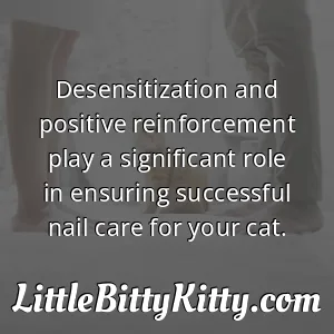 Desensitization and positive reinforcement play a significant role in ensuring successful nail care for your cat.