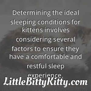 Determining the ideal sleeping conditions for kittens involves considering several factors to ensure they have a comfortable and restful sleep experience.