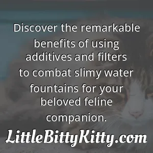 Discover the remarkable benefits of using additives and filters to combat slimy water fountains for your beloved feline companion.