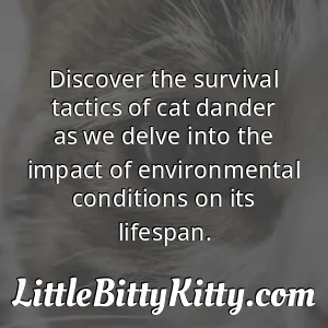 Discover the survival tactics of cat dander as we delve into the impact of environmental conditions on its lifespan.