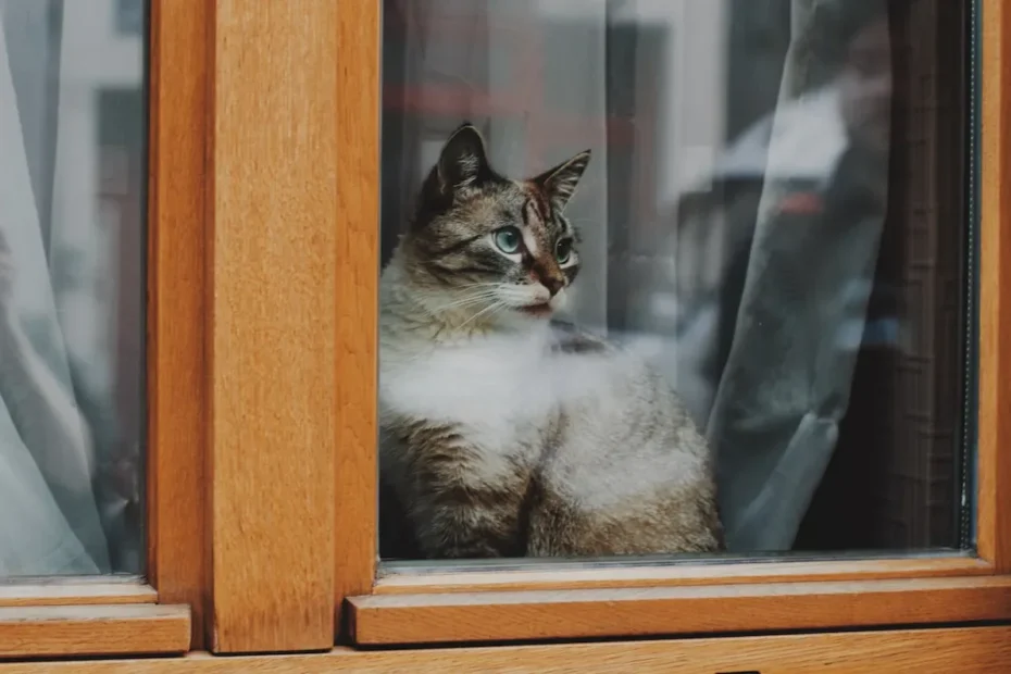 Do Cats Eat Fleas? Exploring Feline Grooming Habits
