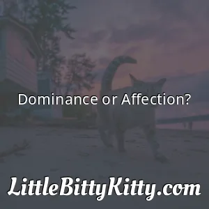 Dominance or Affection?