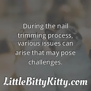 During the nail trimming process, various issues can arise that may pose challenges.