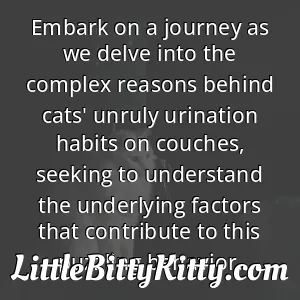 Embark on a journey as we delve into the complex reasons behind cats' unruly urination habits on couches, seeking to understand the underlying factors that contribute to this puzzling behavior.