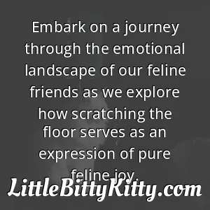 Embark on a journey through the emotional landscape of our feline friends as we explore how scratching the floor serves as an expression of pure feline joy.
