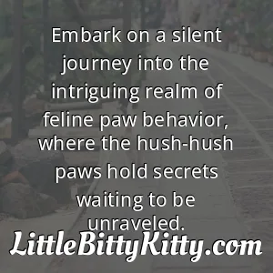 Embark on a silent journey into the intriguing realm of feline paw behavior, where the hush-hush paws hold secrets waiting to be unraveled.