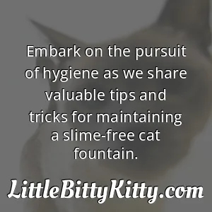 Embark on the pursuit of hygiene as we share valuable tips and tricks for maintaining a slime-free cat fountain.