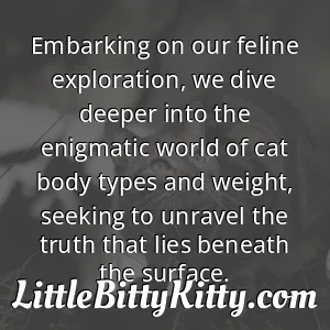 Embarking on our feline exploration, we dive deeper into the enigmatic world of cat body types and weight, seeking to unravel the truth that lies beneath the surface.
