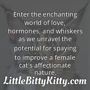 Enter the enchanting world of love, hormones, and whiskers as we unravel the potential for spaying to improve a female cat's affectionate nature.
