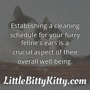 Establishing a cleaning schedule for your furry feline's ears is a crucial aspect of their overall well-being.
