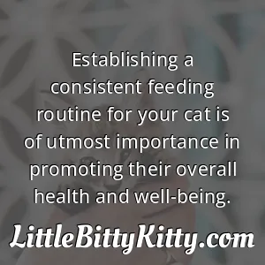 Establishing a consistent feeding routine for your cat is of utmost importance in promoting their overall health and well-being.