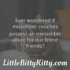Ever wondered if microfiber couches possess an irresistible allure for our feline friends?