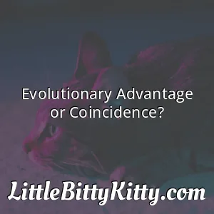 Evolutionary Advantage or Coincidence?
