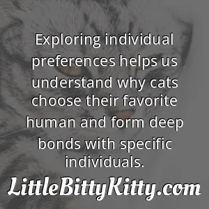 Exploring individual preferences helps us understand why cats choose their favorite human and form deep bonds with specific individuals.