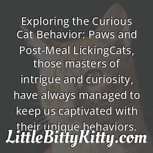 Exploring the Curious Cat Behavior: Paws and Post-Meal LickingCats, those masters of intrigue and curiosity, have always managed to keep us captivated with their unique behaviors.