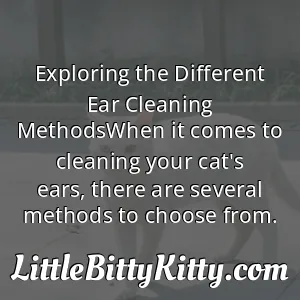 Exploring the Different Ear Cleaning MethodsWhen it comes to cleaning your cat's ears, there are several methods to choose from.