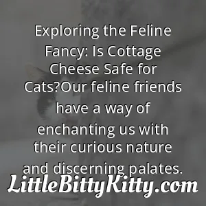 Exploring the Feline Fancy: Is Cottage Cheese Safe for Cats?Our feline friends have a way of enchanting us with their curious nature and discerning palates.