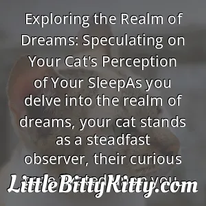 Exploring the Realm of Dreams: Speculating on Your Cat's Perception of Your SleepAs you delve into the realm of dreams, your cat stands as a steadfast observer, their curious gaze fixated upon you.