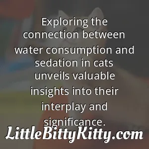 Exploring the connection between water consumption and sedation in cats unveils valuable insights into their interplay and significance.