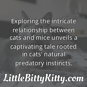 Exploring the intricate relationship between cats and mice unveils a captivating tale rooted in cats' natural predatory instincts.