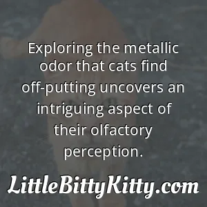 Exploring the metallic odor that cats find off-putting uncovers an intriguing aspect of their olfactory perception.