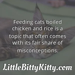 Feeding cats boiled chicken and rice is a topic that often comes with its fair share of misconceptions.