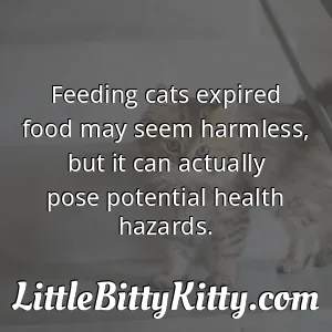 Feeding cats expired food may seem harmless, but it can actually pose potential health hazards.