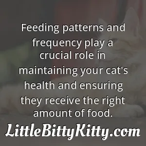Feeding patterns and frequency play a crucial role in maintaining your cat's health and ensuring they receive the right amount of food.