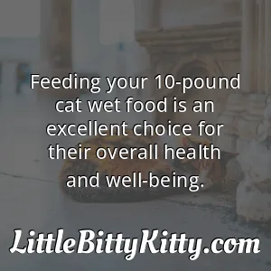 Feeding your 10-pound cat wet food is an excellent choice for their overall health and well-being.