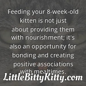 Feeding your 8-week-old kitten is not just about providing them with nourishment; it's also an opportunity for bonding and creating positive associations with mealtimes.