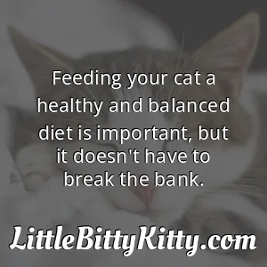 Feeding your cat a healthy and balanced diet is important, but it doesn't have to break the bank.